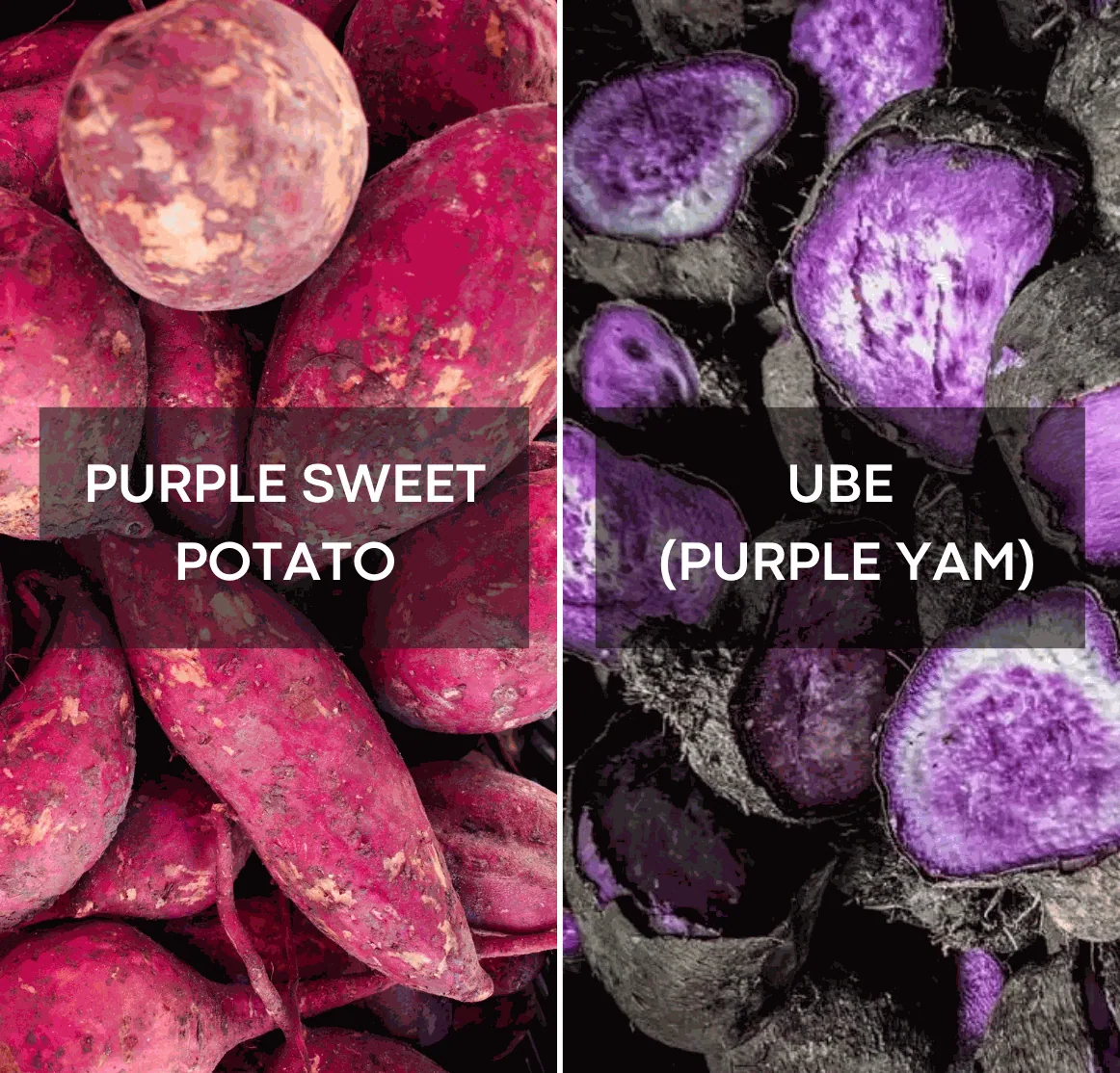Ube vs Purple Sweet Potato