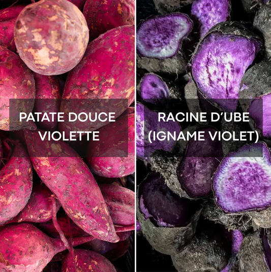 Quelle est la différence entre l'Ube et la Patate douce?