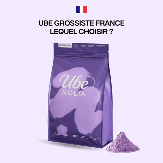 Grossiste Ube France : Lequel choisir ?
