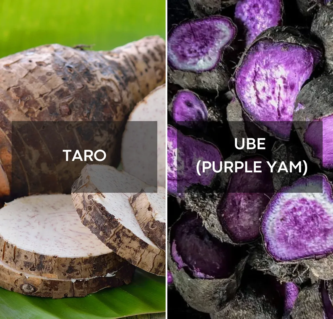Ube vs taro – difference in taste, color and use of purple yam | Ube Nolia